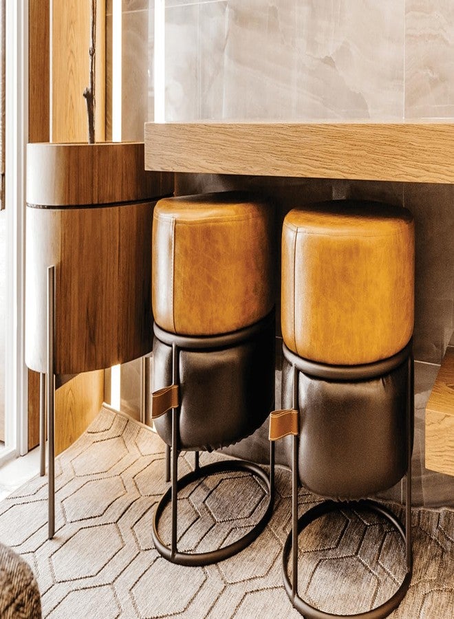 Berger Woodkeeper Wood Stainer | Ebony Black | Transparent Solvent-Based Wood Stain | Easy Cloth Application | Leakproof Bottle | 500ml - Image 3